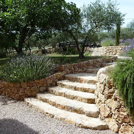 Mas De L'Olivette Bed & Breakfast Cotignac Exterior foto